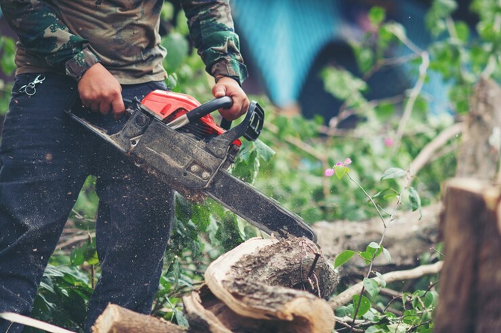 tree trimmer