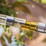 Essential Features to Consider While Choosing the Right Vape Pen