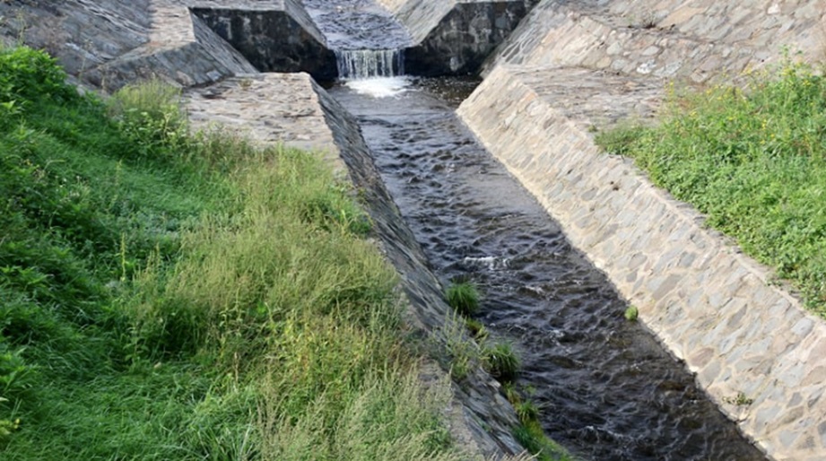 Exploring Top Drainage Solutions to Manage Heavy Rainfall in Residential Areas